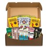 Snack Box Pros Vegan Snack Box, 15 Assorted Snacks 700-00126